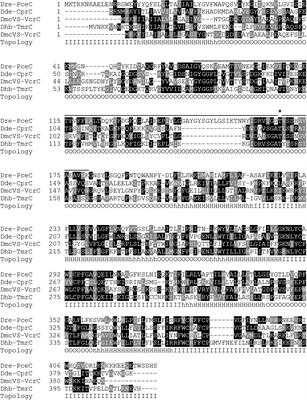 The Membrane-Bound C Subunit of Reductive Dehalogenases: Topology Analysis and Reconstitution of the FMN-Binding Domain of PceC